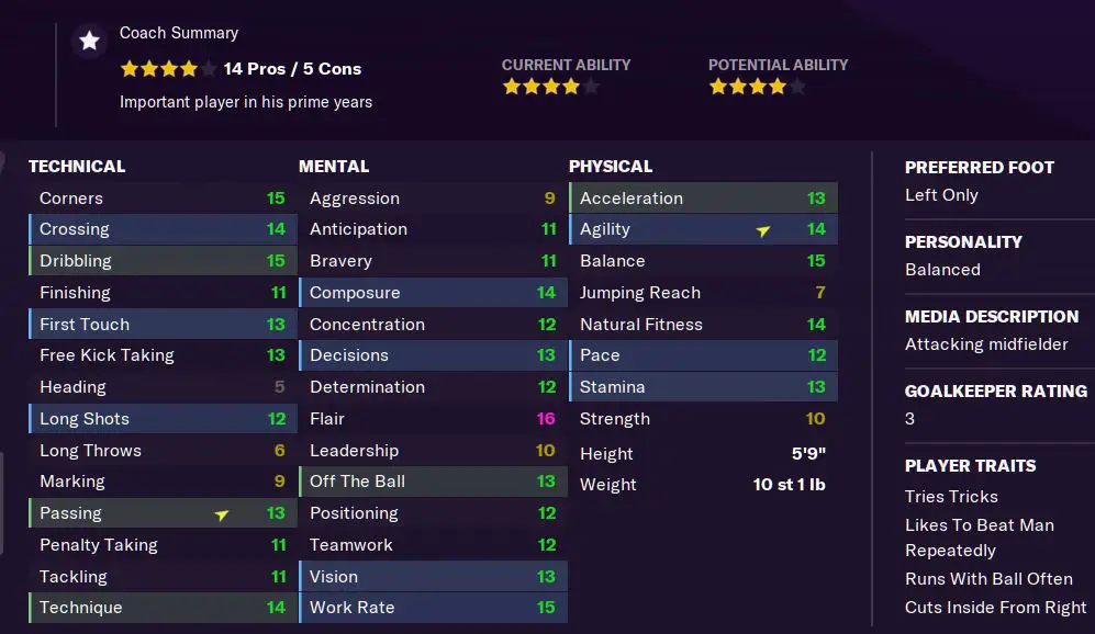 Player attributes Football Manager